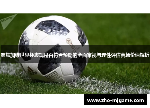 聚焦加维世界杯表现是否符合预期的全面审视与理性评估赛场价值解析